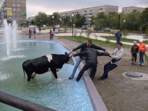   Тем временем в России
.Фото № 4